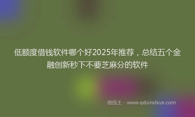 低额度借钱软件哪个好2025年推荐，总结五个金融创新秒下不要芝麻分的软件