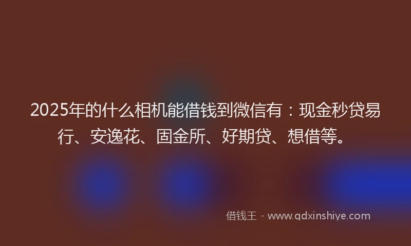 2025年的什么相机能借钱到微信有：现金秒贷易行、安逸花、固金所、好期贷、想借等。