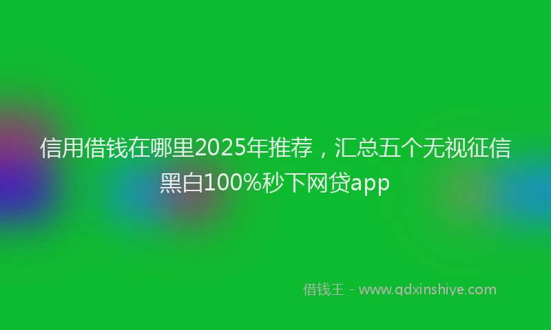 信用借钱在哪里2025年推荐，汇总五个无视征信黑白100%秒下网贷app