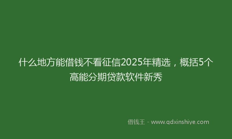 什么地方能借钱不看征信2025年精选，概括5个高能分期贷款软件新秀