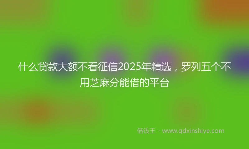 什么贷款大额不看征信2025年精选，罗列五个不用芝麻分能借的平台