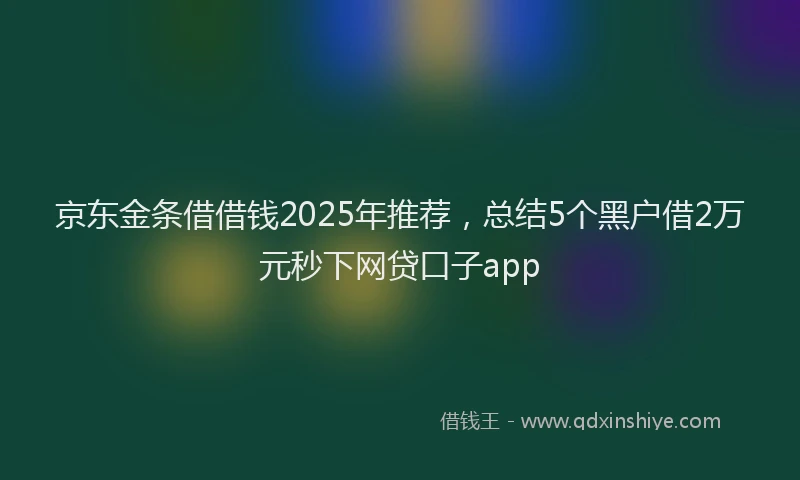 京东金条借借钱2025年推荐，总结5个黑户借2万元秒下网贷口子app
