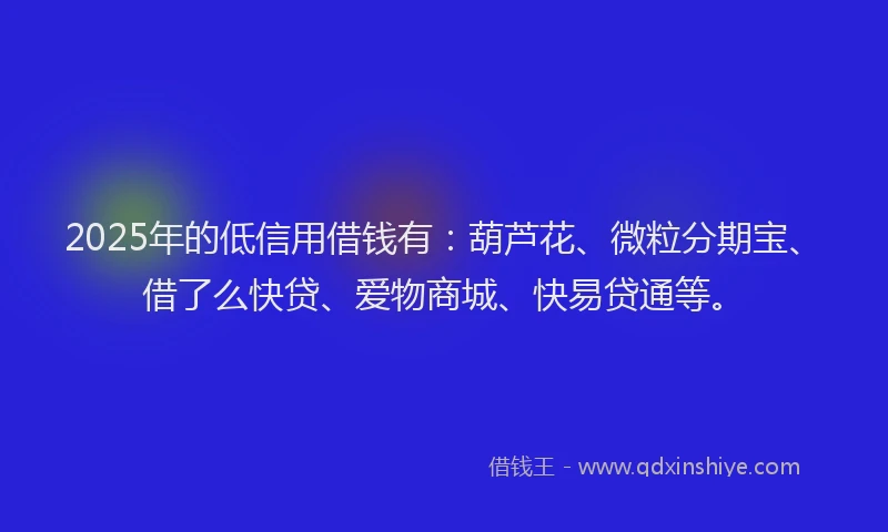 2025年的低信用借钱有：葫芦花、微粒分期宝、借了么快贷、爱物商城、快易贷通等。