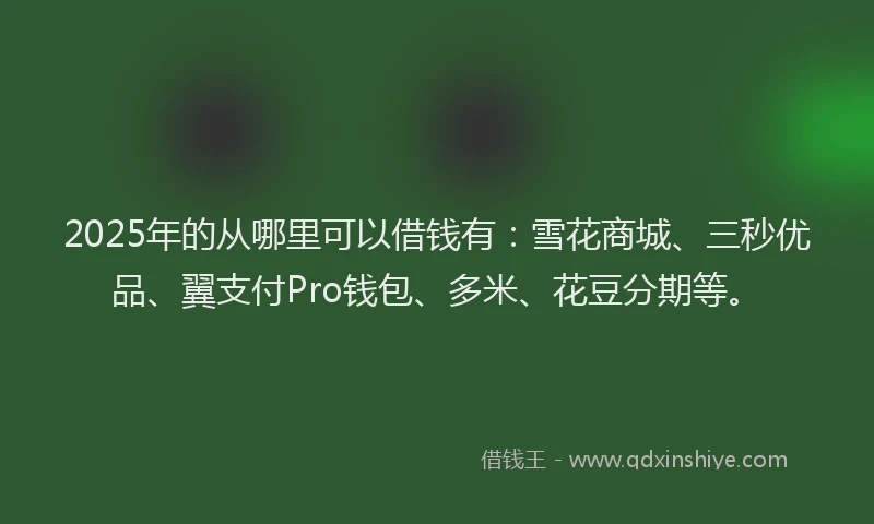 2025年的从哪里可以借钱有：雪花商城、三秒优品、翼支付Pro钱包、多米、花豆分期等。