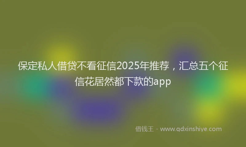 保定私人借贷不看征信2025年推荐，汇总五个征信花居然都下款的app