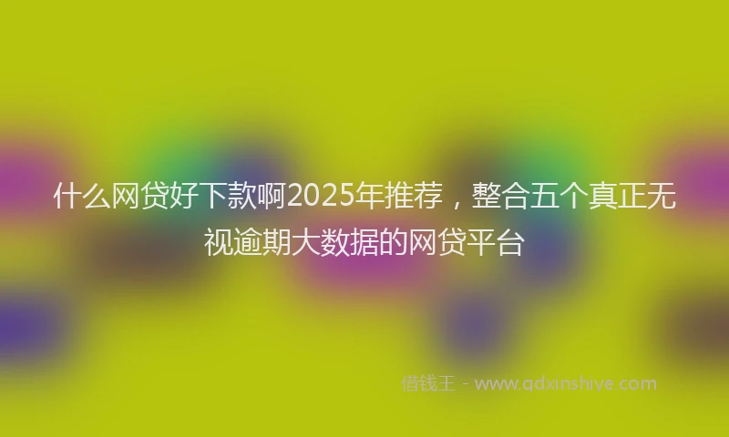 什么网贷好下款啊2025年推荐，整合五个真正无视逾期大数据的网贷平台