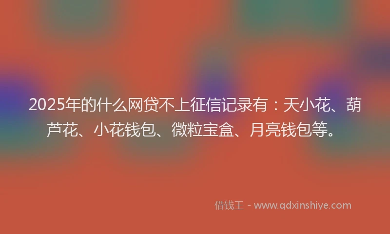 2025年的什么网贷不上征信记录有：天小花、葫芦花、小花钱包、微粒宝盒、月亮钱包等。
