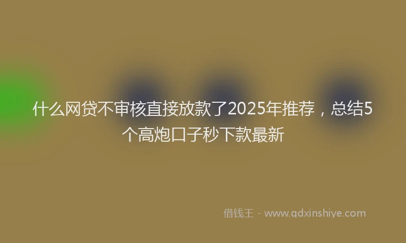 什么网贷不审核直接放款了2025年推荐，总结5个高炮口子秒下款最新