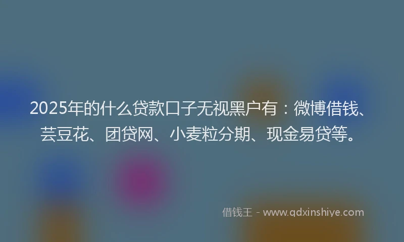 2025年的什么贷款口子无视黑户有：微博借钱、芸豆花、团贷网、小麦粒分期、现金易贷等。