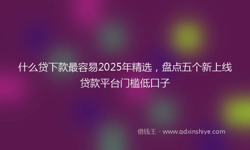 什么贷下款最容易2025年精选，盘点五个新上线贷款平台门槛低口子