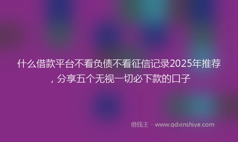 什么借款平台不看负债不看征信记录2025年推荐，分享五个无视一切必下款的口子