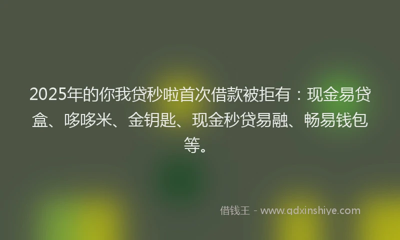 2025年的你我贷秒啦首次借款被拒有：现金易贷盒、哆哆米、金钥匙、现金秒贷易融、畅易钱包等。