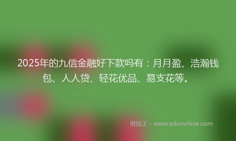 2025年的九信金融好下款吗有：月月盈、浩瀚钱包、人人贷、轻花优品、易支花等。