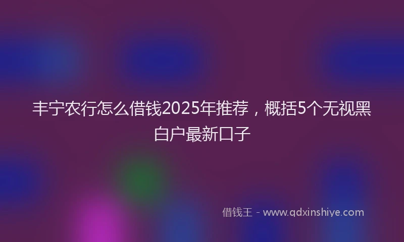 丰宁农行怎么借钱2025年推荐，概括5个无视黑白户最新口子