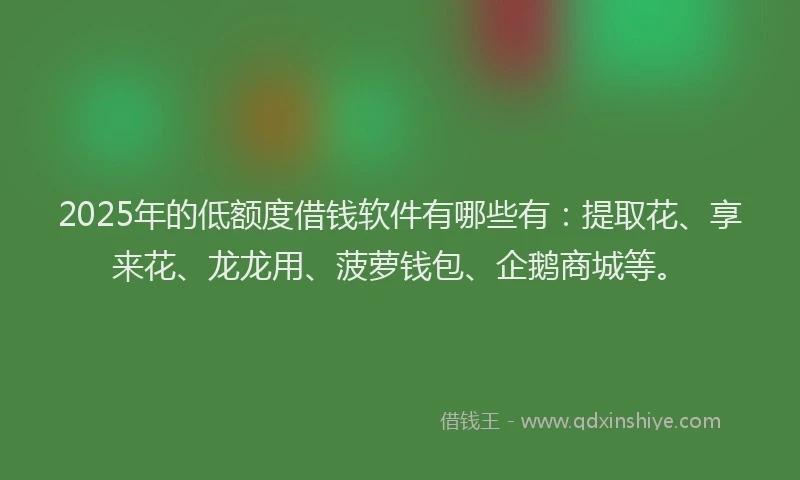 2025年的低额度借钱软件有哪些有：提取花、享来花、龙龙用、菠萝钱包、企鹅商城等。