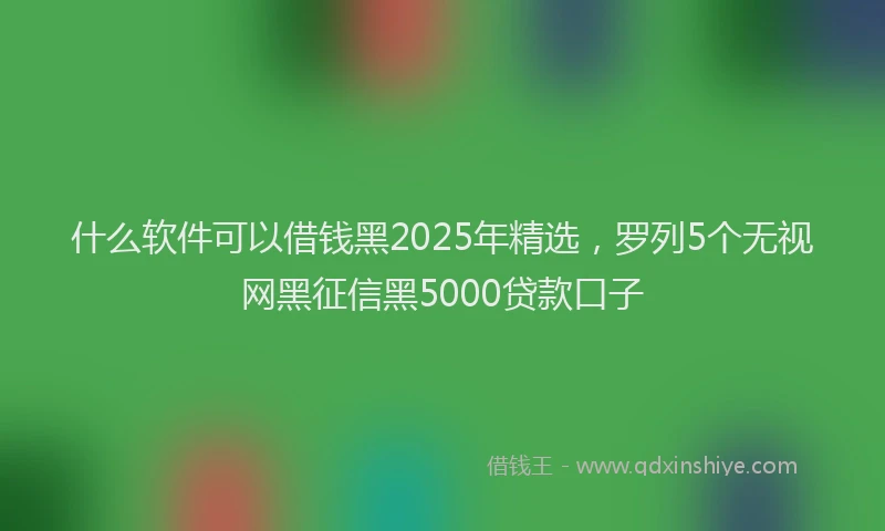 什么软件可以借钱黑2025年精选,罗列5个无视网黑征信黑5000贷款口子
