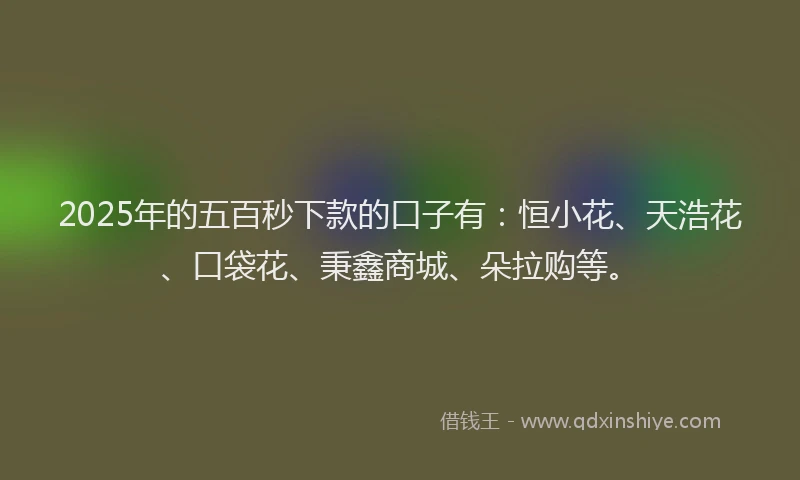 2025年的五百秒下款的口子有:恒小花、天浩花、口袋花、秉鑫商城、朵拉购等。