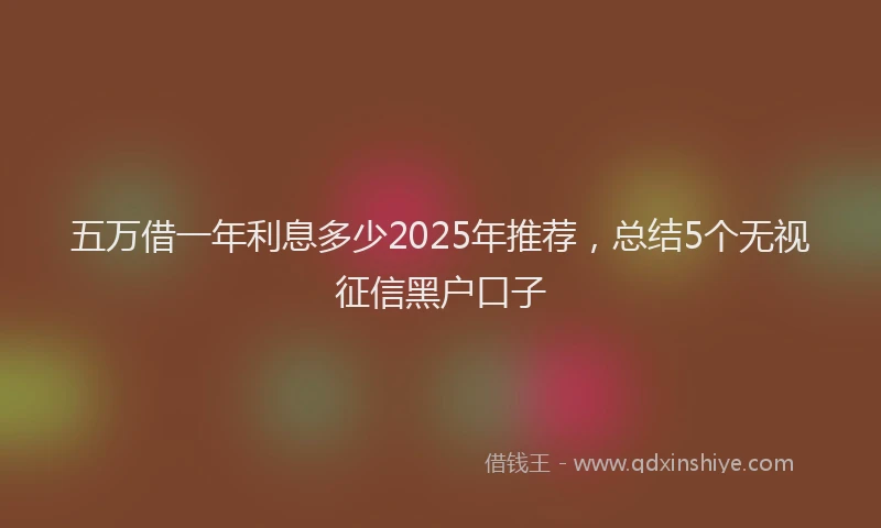 五万借一年利息多少2025年推荐，总结5个无视征信黑户口子