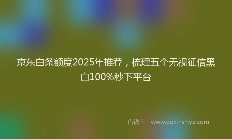 京东白条额度2025年推荐，梳理五个无视征信黑白100%秒下平台