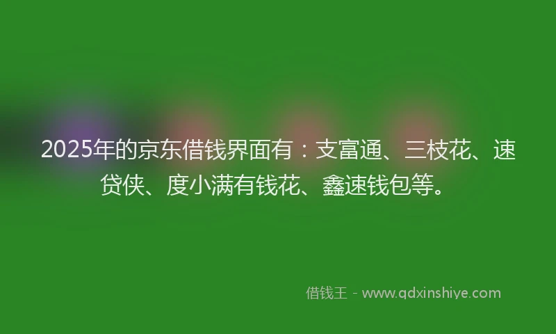 2025年的京东借钱界面有：支富通、三枝花、速贷侠、度小满有钱花、鑫速钱包等。