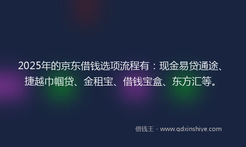 2025年的京东借钱选项流程有：现金易贷通途、捷越巾帼贷、金租宝、借钱宝盒、东方汇等。
