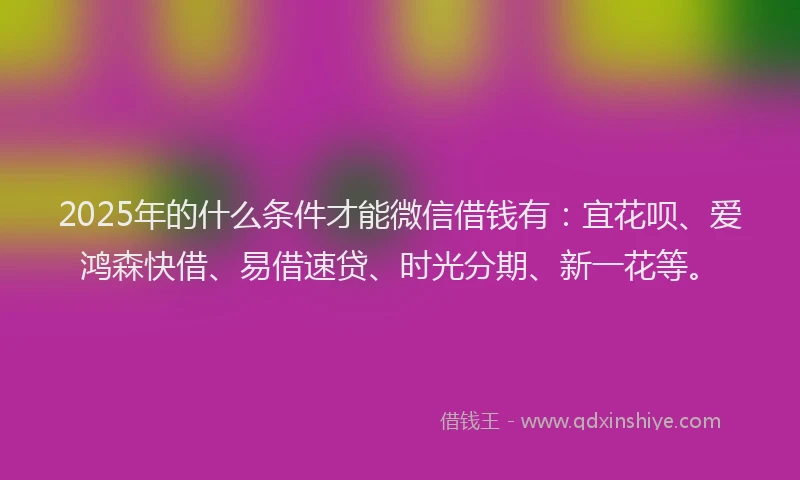 2025年的什么条件才能微信借钱有：宜花呗、爱鸿森快借、易借速贷、时光分期、新一花等。