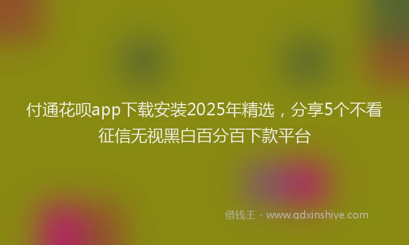 付通花呗app下载安装2025年精选，分享5个不看征信无视黑白百分百下款平台