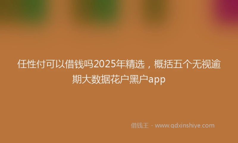 任性付可以借钱吗2025年精选，概括五个无视逾期大数据花户黑户app