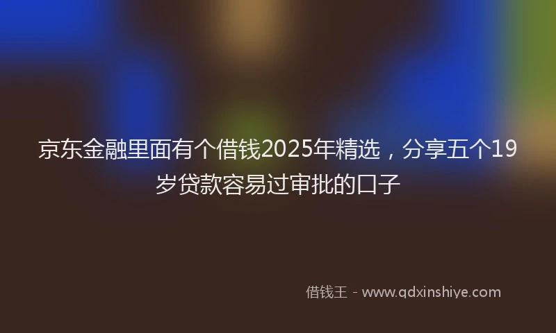 京东金融里面有个借钱2025年精选，分享五个19岁贷款容易过审批的口子
