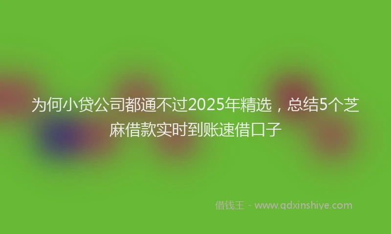 为何小贷公司都通不过2025年精选，总结5个芝麻借款实时到账速借口子