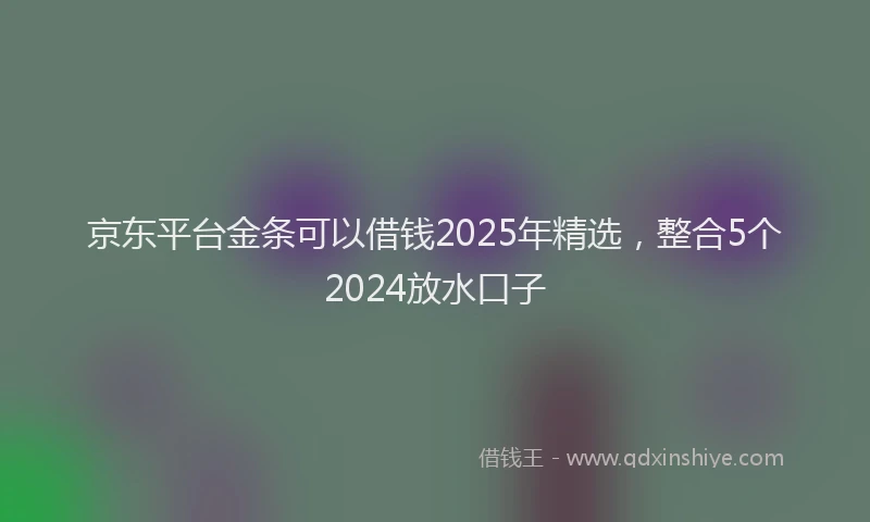 京东平台金条可以借钱2025年精选，整合5个2024放水口子