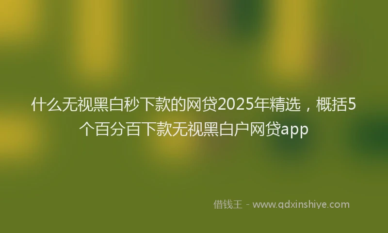 什么无视黑白秒下款的网贷2025年精选，概括5个百分百下款无视黑白户网贷app