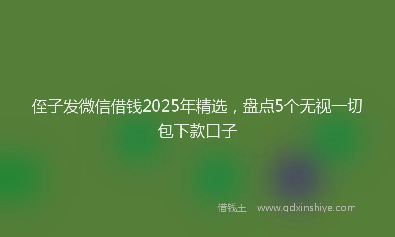 侄子发微信借钱2025年精选，盘点5个无视一切包下款口子