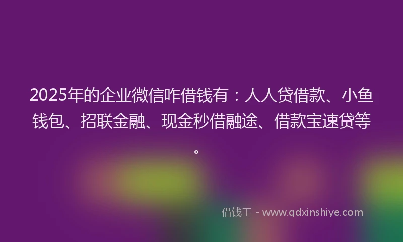 2025年的企业微信咋借钱有：人人贷借款、小鱼钱包、招联金融、现金秒借融途、借款宝速贷等。