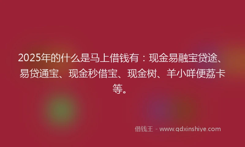 2025年的什么是马上借钱有：现金易融宝贷途、易贷通宝、现金秒借宝、现金树、羊小咩便荔卡等。