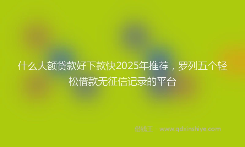 什么大额贷款好下款快2025年推荐，罗列五个轻松借款无征信记录的平台