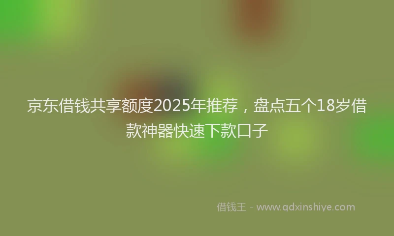 京东借钱共享额度2025年推荐，盘点五个18岁借款神器快速下款口子