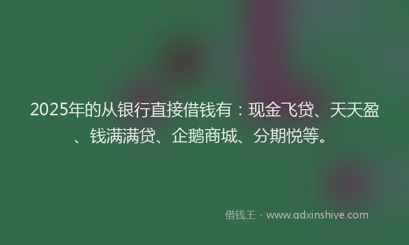 2025年的从银行直接借钱有：现金飞贷、天天盈、钱满满贷、企鹅商城、分期悦等。