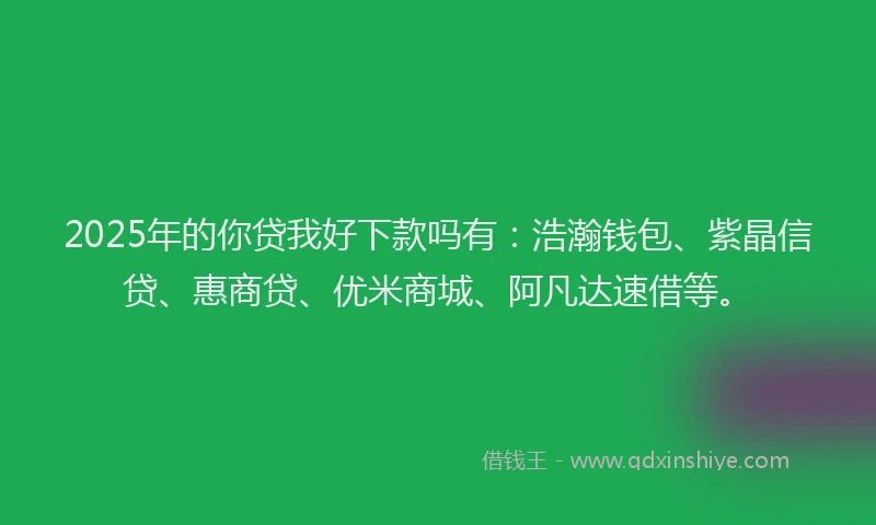 2025年的你贷我好下款吗有：浩瀚钱包、紫晶信贷、惠商贷、优米商城、阿凡达速借等。