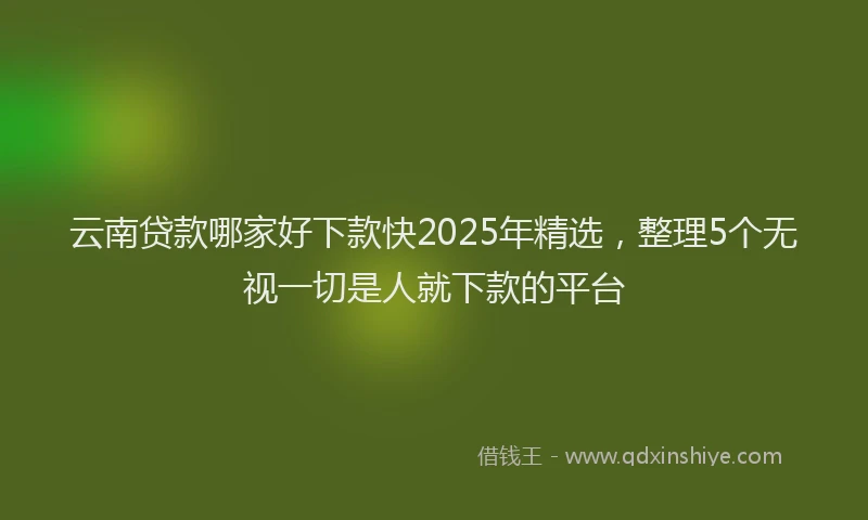 云南贷款哪家好下款快2025年精选，整理5个无视一切是人就下款的平台