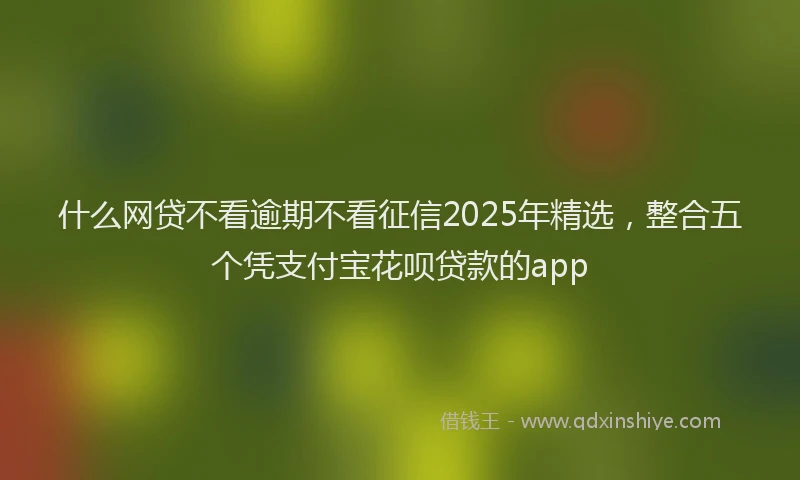 什么网贷不看逾期不看征信2025年精选，整合五个凭支付宝花呗贷款的app
