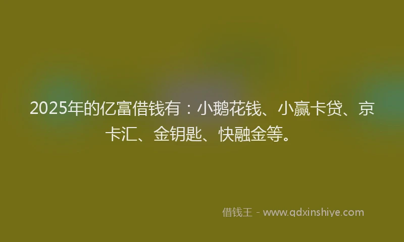2025年的亿富借钱有：小鹅花钱、小赢卡贷、京卡汇、金钥匙、快融金等。