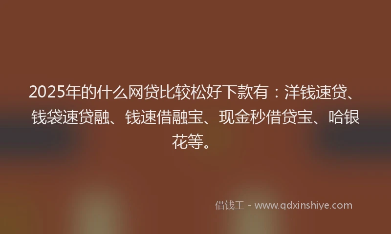 2025年的什么网贷比较松好下款有：洋钱速贷、钱袋速贷融、钱速借融宝、现金秒借贷宝、哈银花等。