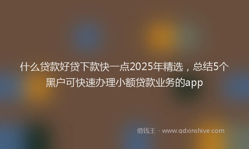 什么贷款好贷下款快一点2025年精选，总结5个黑户可快速办理小额贷款业务的app