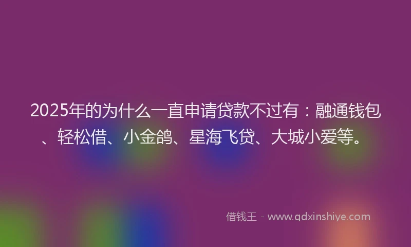 2025年的为什么一直申请贷款不过有：融通钱包、轻松借、小金鸽、星海飞贷、大城小爱等。