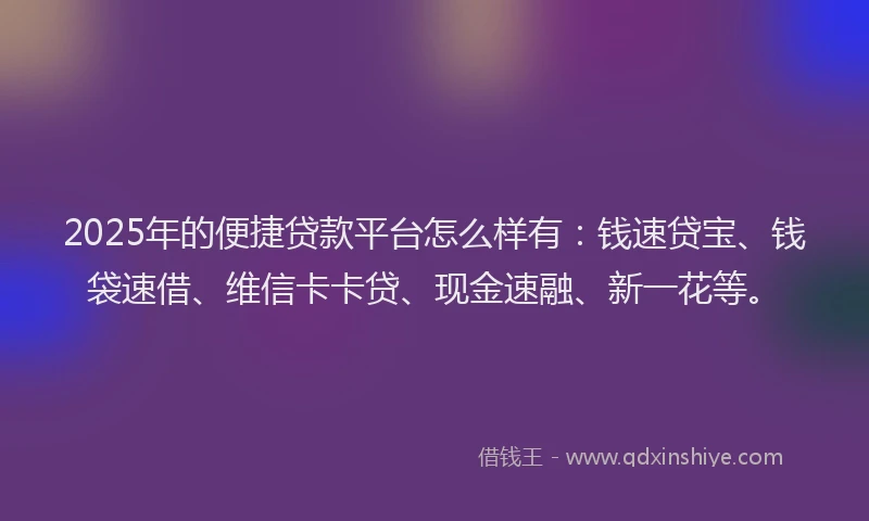 2025年的便捷贷款平台怎么样有：钱速贷宝、钱袋速借、维信卡卡贷、现金速融、新一花等。
