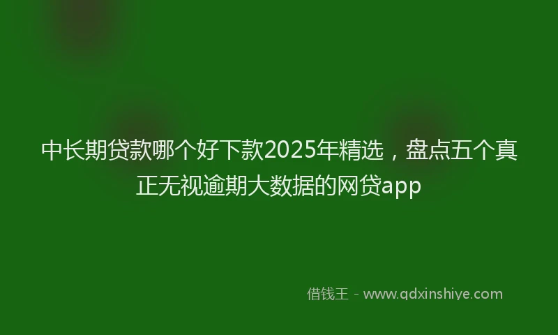 中长期贷款哪个好下款2025年精选，盘点五个真正无视逾期大数据的网贷app