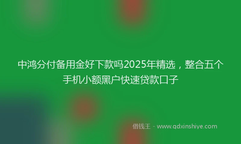 中鸿分付备用金好下款吗2025年精选，整合五个手机小额黑户快速贷款口子