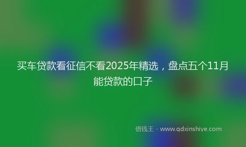 买车贷款看征信不看2025年精选,盘点五个11月能贷款的口子