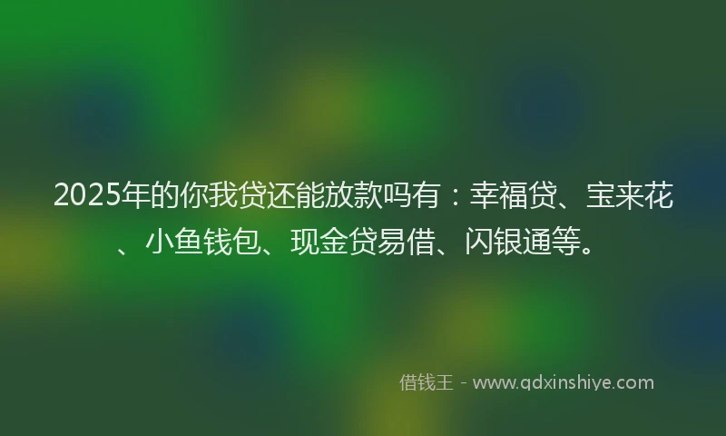2025年的你我贷还能放款吗有：幸福贷、宝来花、小鱼钱包、现金贷易借、闪银通等。